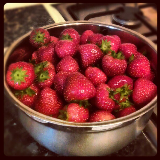 Bumper crop from our weekend trip to Lotmead Farm in Swindon!