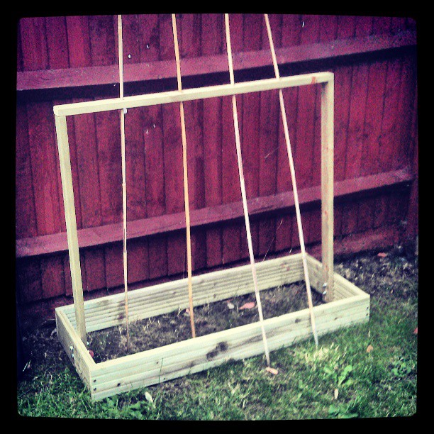 Homemade tomato planter!