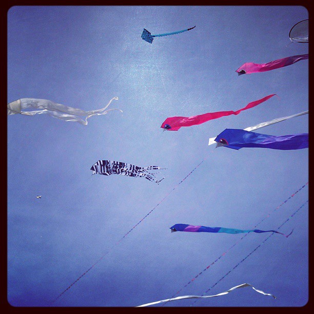 Bristol Kite Festival - A Serenade of Serpents!