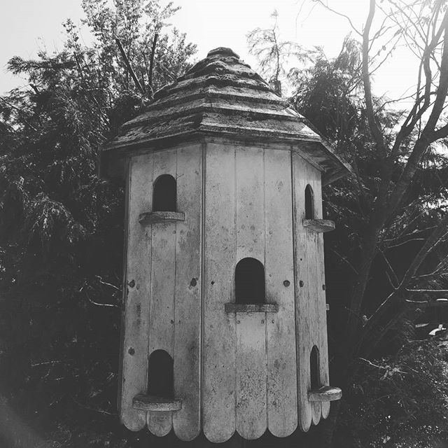 Block of flats for birds! #openfarmsunday