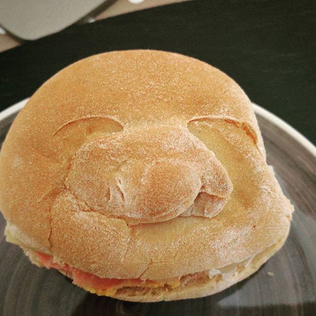 My lunch is looking at me!