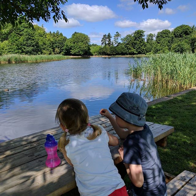 Munching @lotmeadfarm strawberries at Stanton Park this morning!