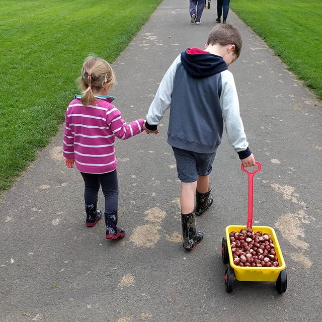 Just a few conkers collected! They were falling on our heads!