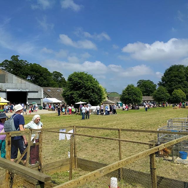 Yesterday was science with the little man, today was all about Open Farm Sunday with the little lady!