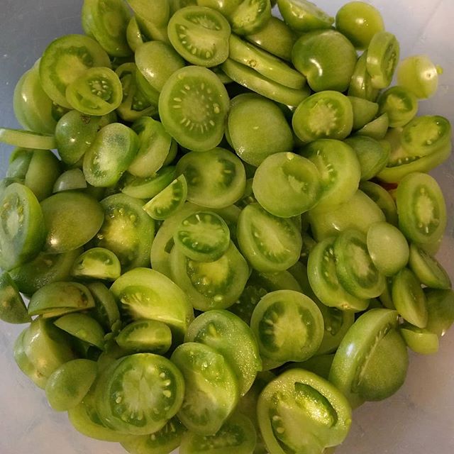 I spy enough green tomatoes for @emmerr78 to make Green Tomato Chutney!