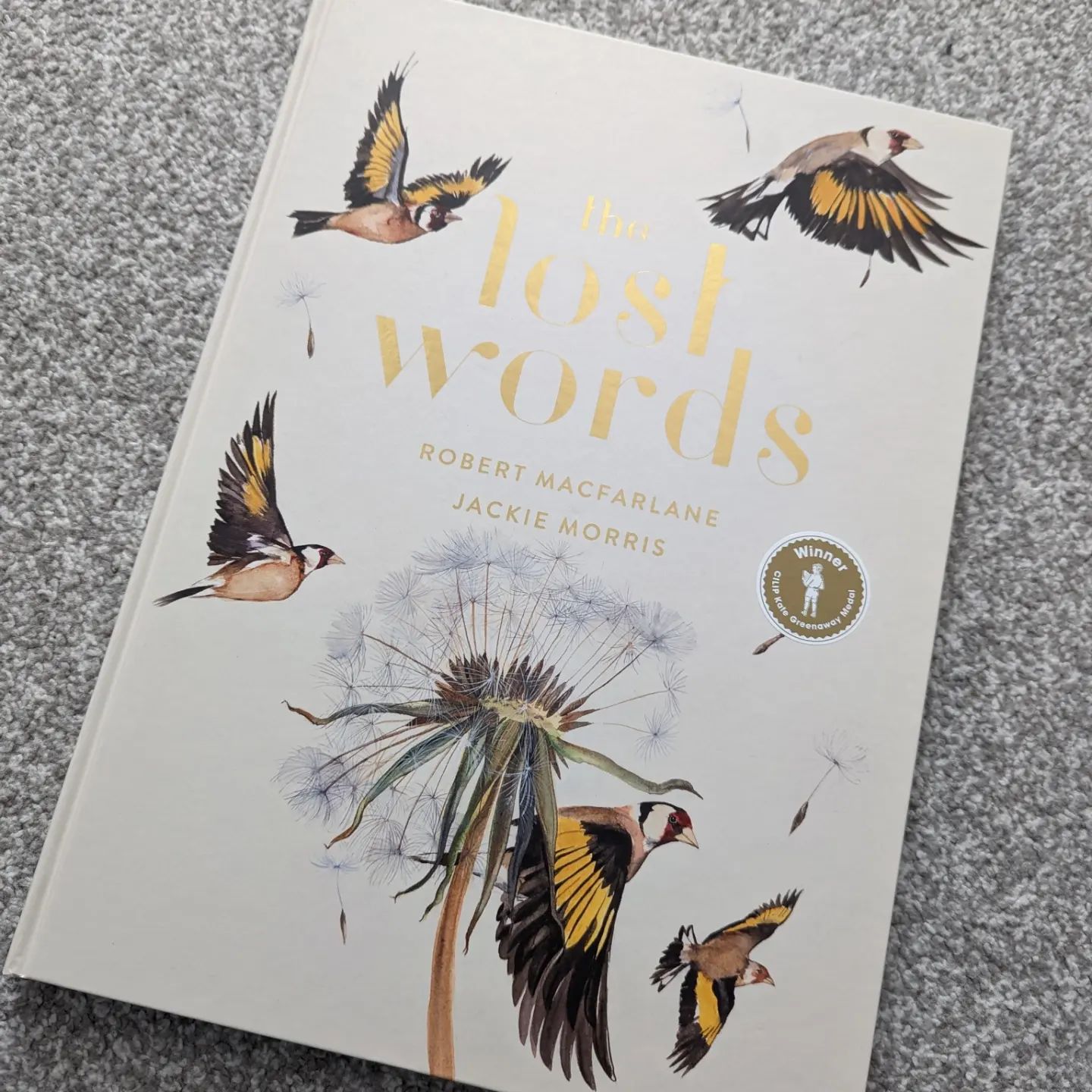 We popped into @bertsbooks yesterday in Old Town so the eldest could spend his national book tokens, both children found new authors and have been squirreled away ever since...As we left we were gifted this beautifully illustrated book, The Lost Words by @robgmacfarlane and @jackiemorrisartist - I think we might get lost in this one too!#books #bookworm #reading #illustration #gifted #nationalbooktokens