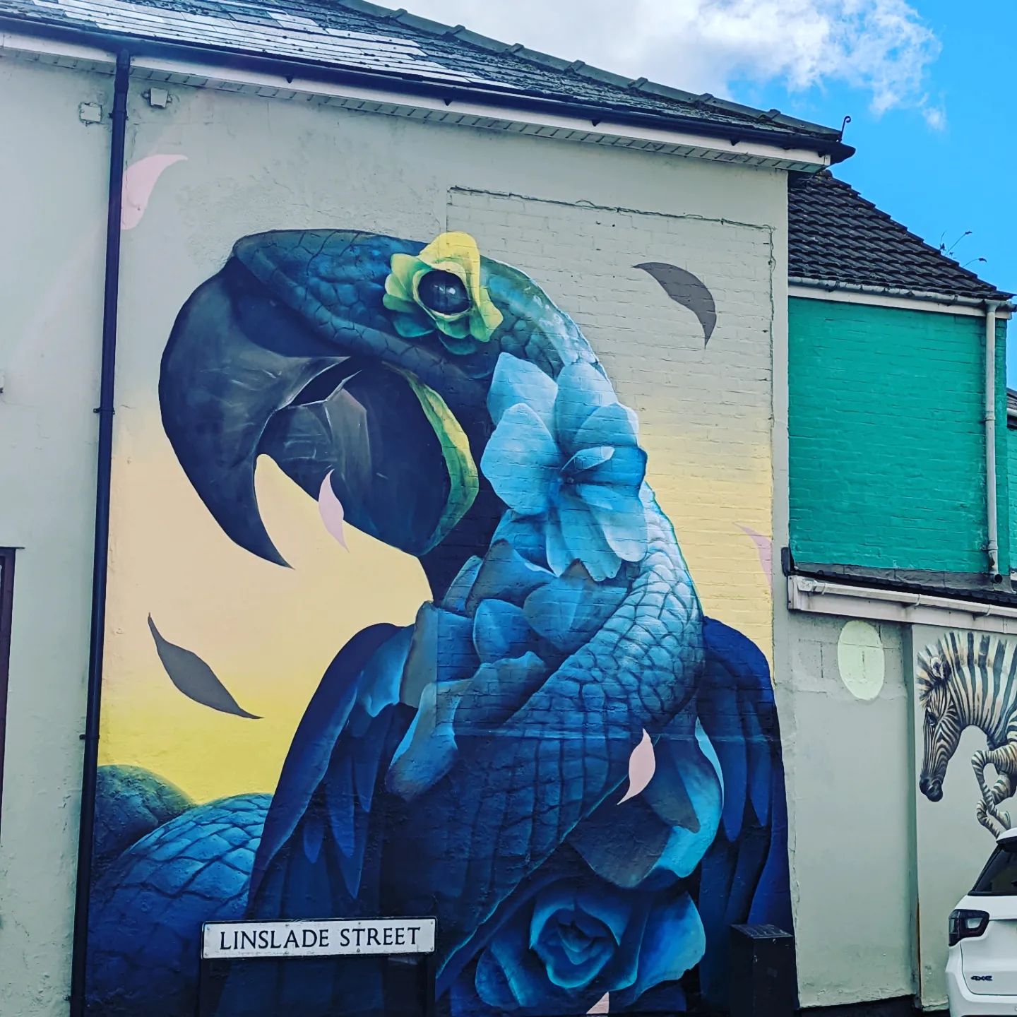 Checking out some of the big local artwork in Rodbourne today!#art #gwr #parrot #swindon@we_are_swindon @7th_pencil @jaksta_art @i_bee_w  @kapitall.gee